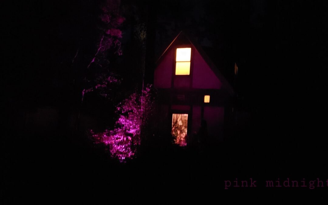 The House With the Pink Light