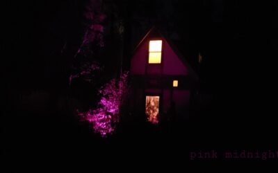 The House With the Pink Light