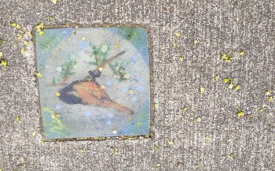 Spring Tile