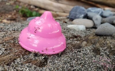 Sandy Candy